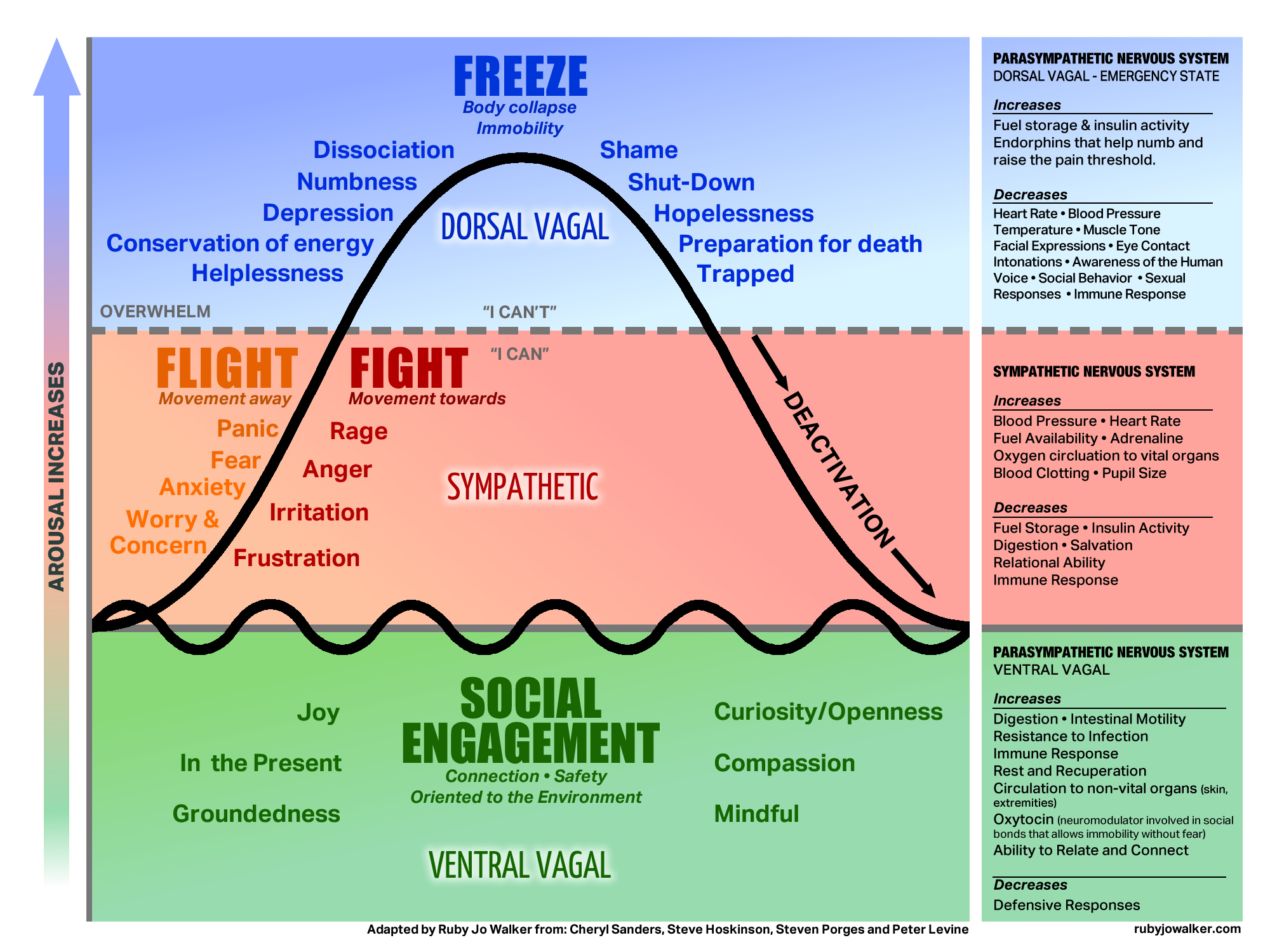Fight, flight or freeze? Our response to chronic stress or trauma ...